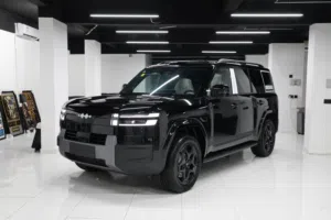2025 زيروليبارد 7 BYD