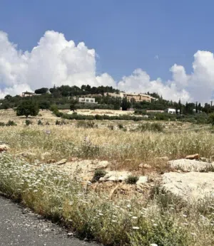 Residential Land for Sale in Amman Badr Jdedeh