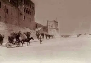 طارق 