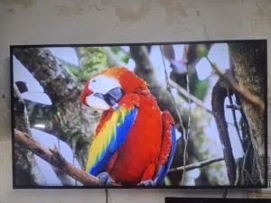 شاشات سامسونج 50 و 55 فل نت سفر بنل دون اطار