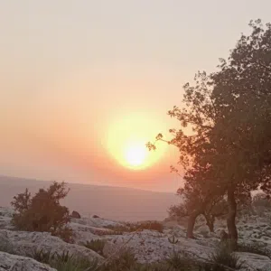 الجمعة البيضاء
