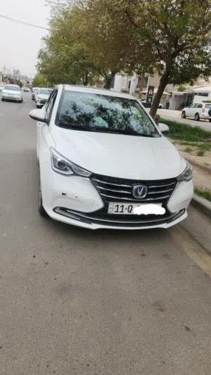شانجان السفن 2025 حره