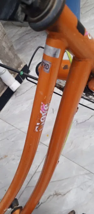 بايسكل بناتيCIOVE