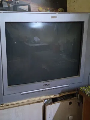 NEPRPO television