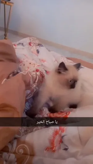 ‏هملايا‏0