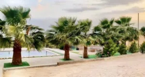 شاليه مميز للايجار في جرش بإطلالة جدا رائعة