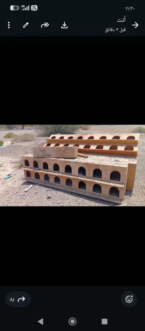 صناديق طيور