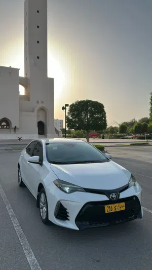 Used Toyota Corolla in Muscat