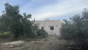 1 m2 3 Bedrooms Townhouse for Sale in Irbid Sama Al-Rousan