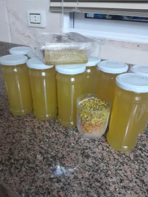 عسل بلدي  مكفول وعالفحص وحبوب لقاح وغذاء ملكات ربيع 2026