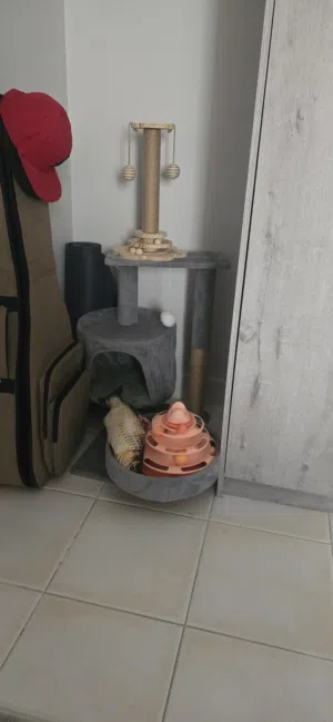 العاب قطط بحال ممممتاز