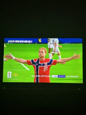 Homez 43 in 4k ultra Hd smart tv