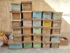 خلايا نوب ابو 8إطارات