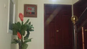 شقه مفروشه عين زاره بلقرب من الدبلوسي مول