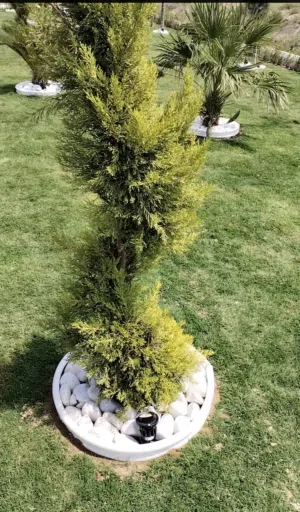 مشتل الغدير 