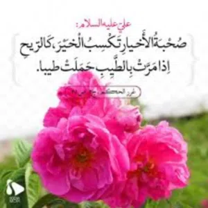 أبو حمد 