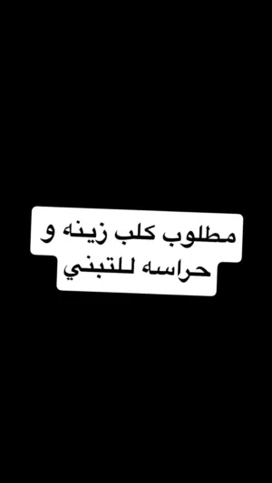 مطلوب كلب للتبني