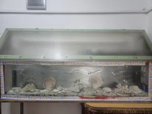 Fish tank with wall cover