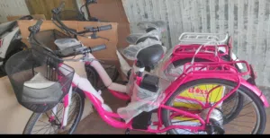 electric bicycle