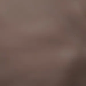 حمزه الصالح