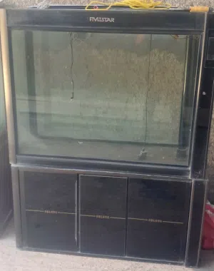 حوض سمك بيولوجي