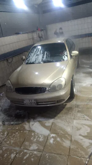 نوبيرا 2001 بريموم