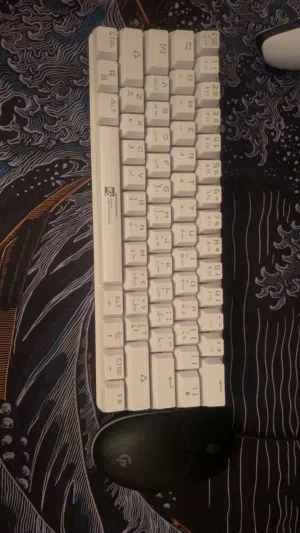 كيبورد و موس