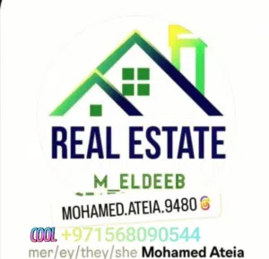 mohamed eldeeb 