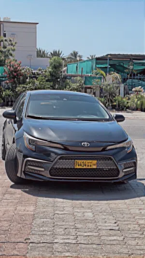 Used Toyota Corolla in Muscat