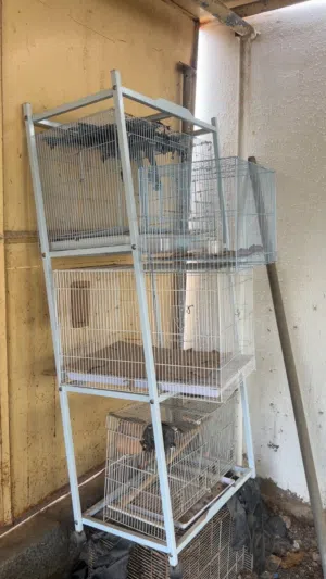 ستاند اقفاص للطيور حط سعرك وشله