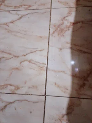 شقه للايجار من المالك مباشره