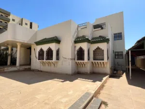 كافوري مربع 11