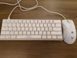 Gaming Keyborad and mouse