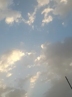 يوسف هاشم 
