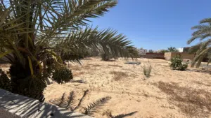 Residential Land for Sale in Tripoli Souq Al-Juma'a