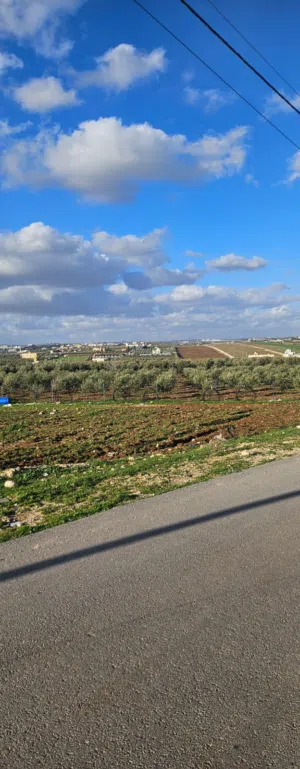 Residential Land for Sale in Amman Al-'Al