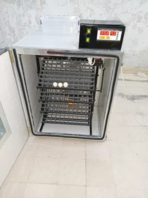 فقاسات سندوتش بانل