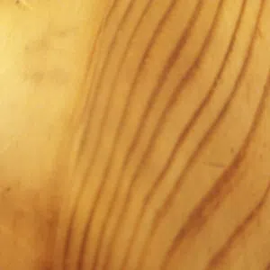 اعلان بلغط 