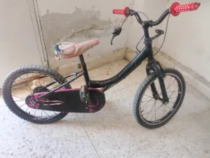 بسكليت امريكي