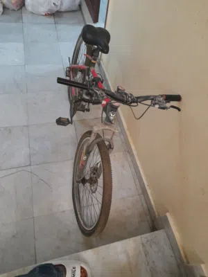 عجلة للبيع