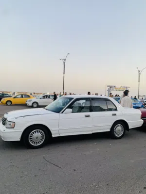 ارنب للبيع