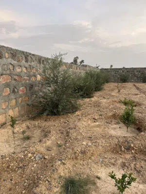 Residential Land for Sale in Al Dakhiliya Nizwa