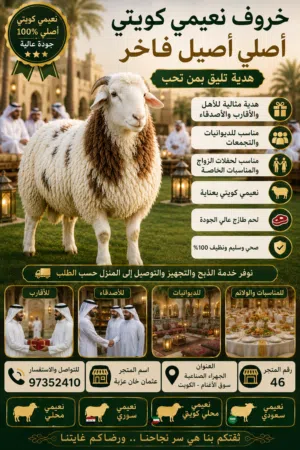 Naeemi Kuwaiti
