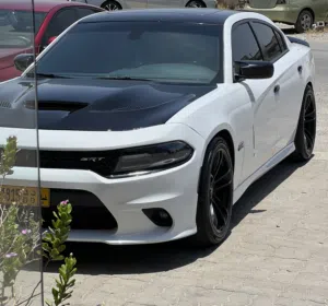 Tamer apo alhjal 