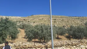 Farm Land for Sale in Salt Al Balqa'