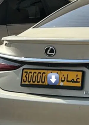 اللبيع رقم سياره
