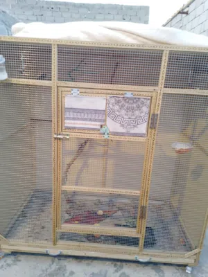 محمية بلابل للبيع