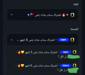 اشتراكات سناب بلس
