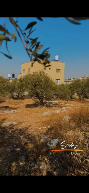 ارض مميزة للبيع في حي الصوانة في طولكرم