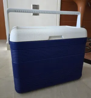 Cosmoplast Cooler Box